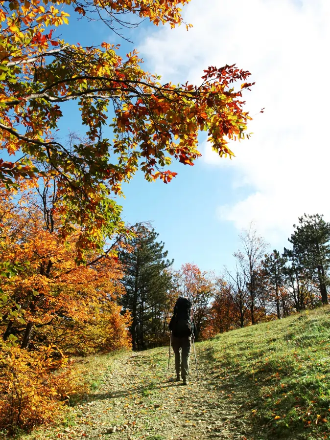 Wanderer an einem Waldstück im Herbst