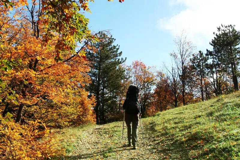 Teutoburg Forest 32 Wandern im Herbst
