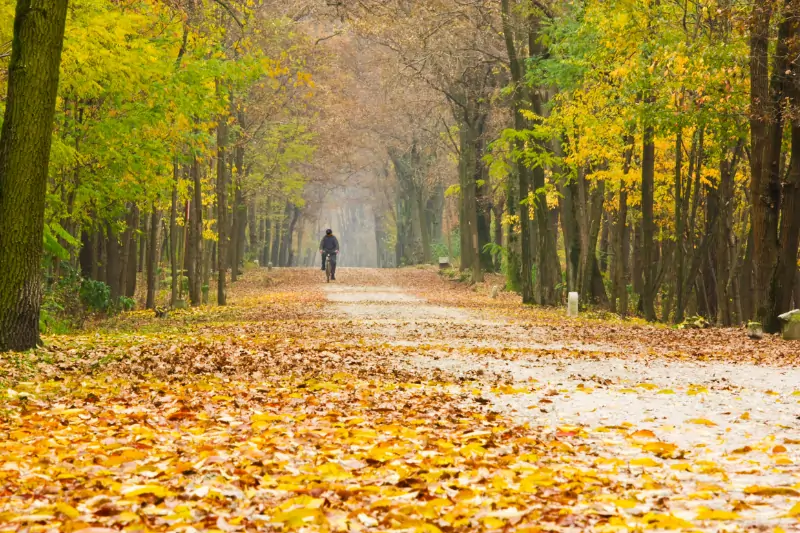 Teutoburg Forest 31 Fahrrad Herbst