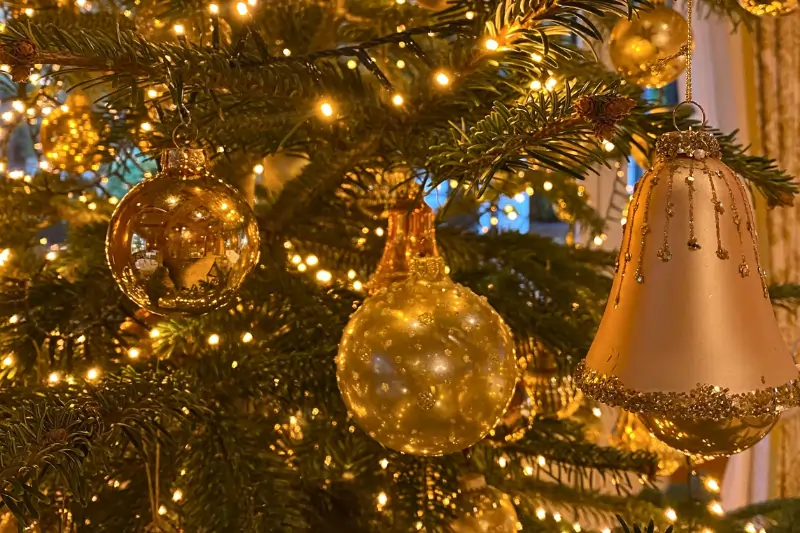 Kulinarik & Events 5 Weihnachtsbaumbeleuchtung