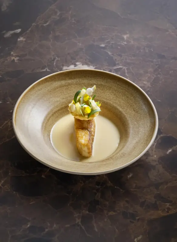 Bellini Gericht Wolfsbarsch