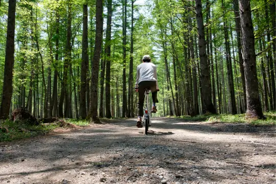 Ein Mann auf einem Fahrrad fährt durch den Wald.
