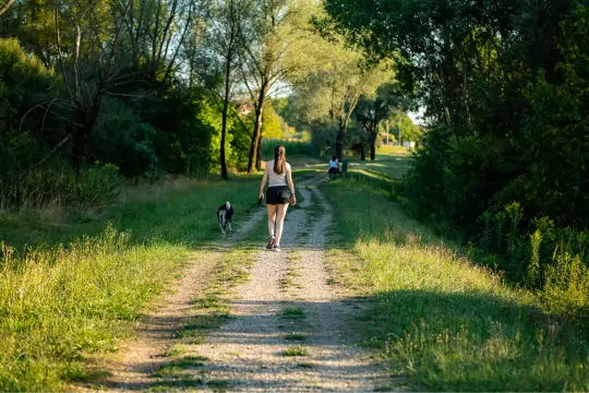 Eine Frau spaziert mit ihrem Hund zusammen durch den Wald