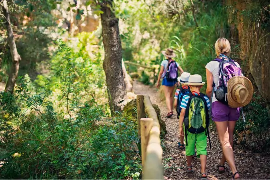 Eine Frau wandert mit 3 Kindern durch einen Wald