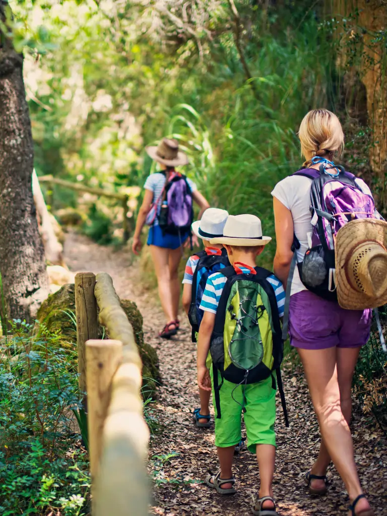 Eine Frau wandert mit 3 Kindern durch einen Wald