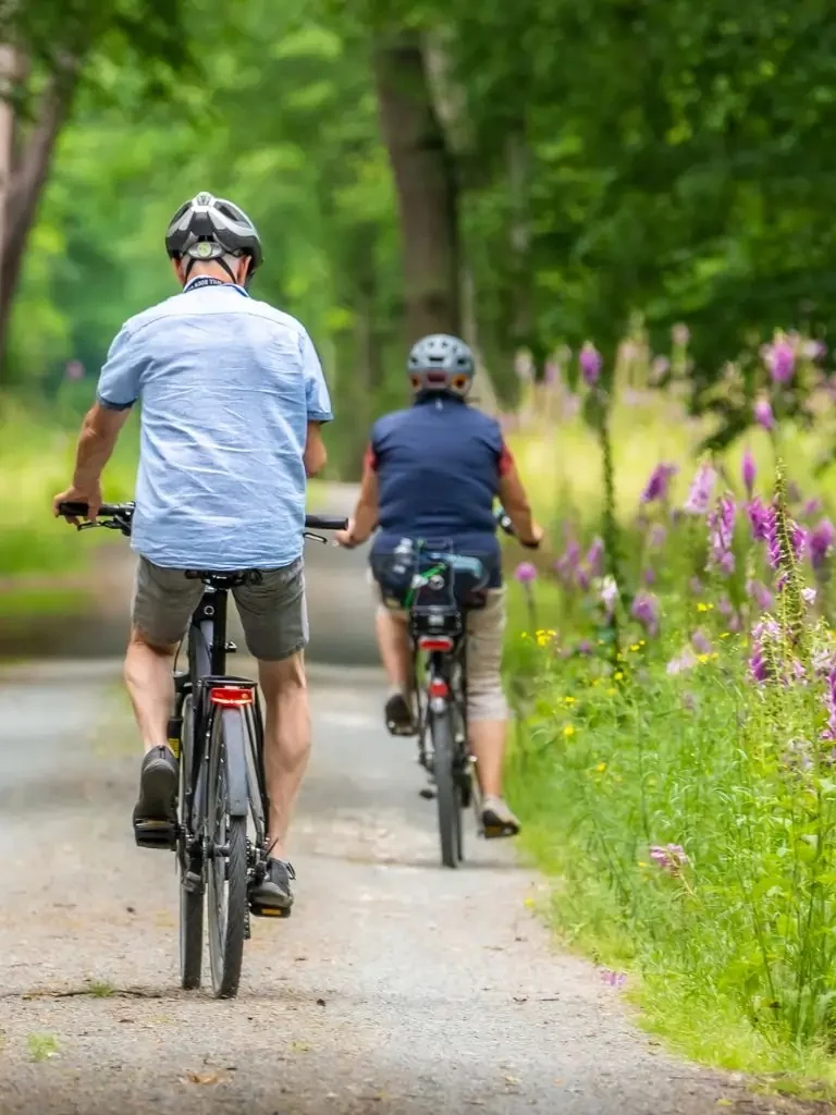 Webseite_TeutoburgerWald 768x1024px (1) (3) Radfahrer im Sommer