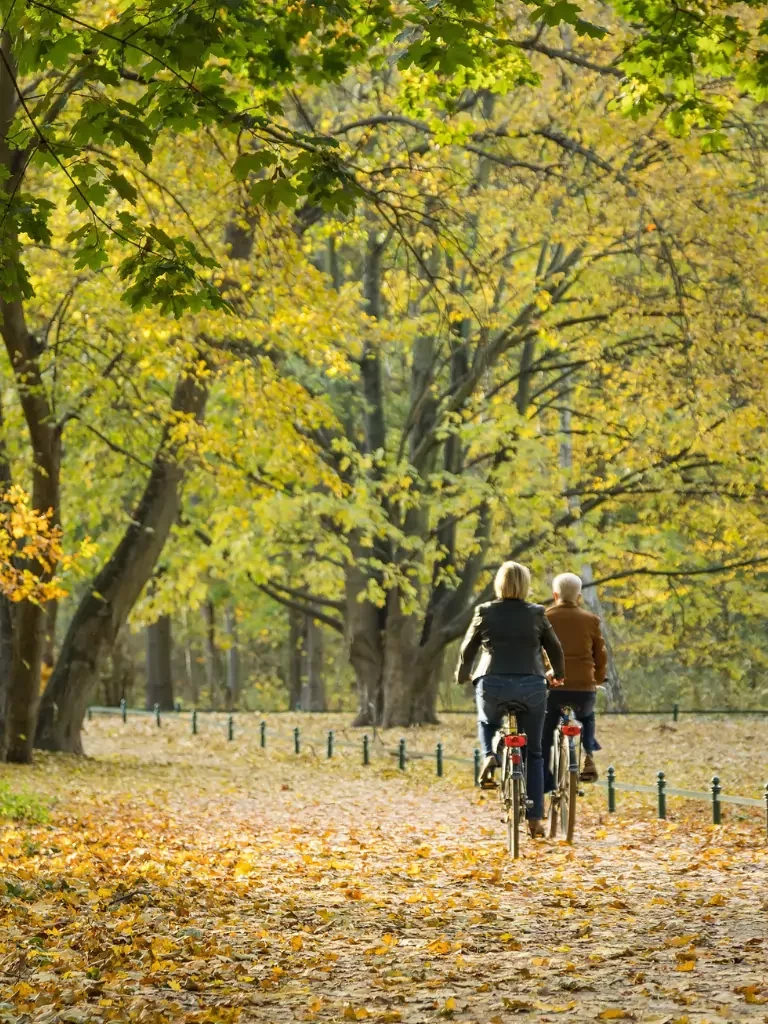 zwei Radfahrer auf einer Straße im Herbst