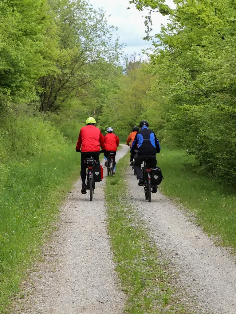 Vier Radfahrer fahren durch ein Waldstück.
